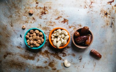 Best food for milk production